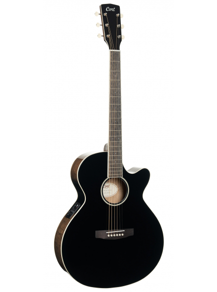 Exotic-SFX Ash (Black Gloss), зображення 1